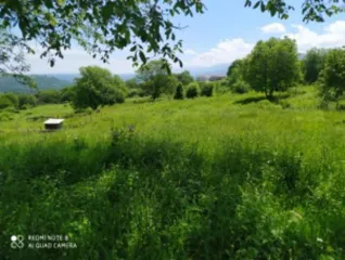 Земельный участок для индивидуальной жилой застройки, площадью 600+/-17 кв.м., кадастровый номер 20:09:3700068:1117. Основной вид разрешенного использования: 2.0. Регистрационный номер ЕГРОКН: