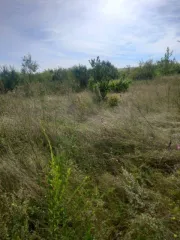 Земельный участок 1500 кв.м, кадастровый номер 19:04:010302:2267, адрес: Республика Хакасия, Алтайский район, СНКТ «Разрез Изыхский», ул. Садовая, 133.