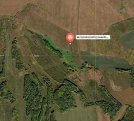 Единый производственно-технологический комплекс Курганская область состоящий из: Земельные участки: 1. Земельный участок, кадастровый номер: 45:22:010601:388, площадь 1 829 861 кв.м., адрес: Курганская область, Шумихинский район, в границах бывшего колхоза "Родина" восточнее с. Галкино. 2…