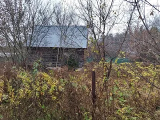 Земельный участок 621 кв.м, Московская область. Кадастровый номер 50:23:0020271:2407. Вид разрешённого использования 2.2.