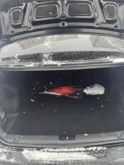 Kia Rio, 2017 года, 123 лс, 140000 км, АКПП. Транспортное средство: KIA RIO, идентификационный номер (VIN): Z94CB41BBHR436955, категория ТС: B/M1, год выпуска: 2017, модель № двигателя: G4FC GW577499, кузов № Z94CB41BBHR436955, цвет кузова: черный, мощность двигателя: 123 кВт (90,5), рабочий объем…
