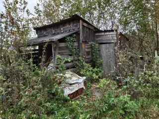 Доля 588/532827 земельного участка, площадь 142561 +/- 138 кв.м., назначение: Земли населенных пунктов, виды разрешенного использования: сельскохозяйственное использование (коллективное садоводство), адрес (местонахождение): Россия, обл Кировская, г Киров, тер сдт Домостроитель-2, кадастровый…