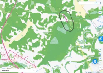 Земельный участок, площадь 14507, Томская область, Кривошеинский район, с кадастровым номером 70:09:0100025:742, расположен по адресу: Томская обл., р-н Кривошеинский, земельный участок находится в юго-восточной части кадастрового квартала 70:09:0100025. Основной вид разрешенного использования…