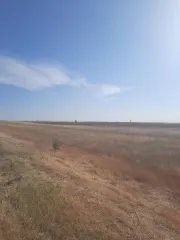 Земельный участок площадью 447000 +/- 5850 кв.м., категория земель: земли сельскохозяйственного назначения, для ведения крестьянского (фермерского) хозяйства, кадастровый № 61:32:0600007:7734, должник Дудаев Д.Т., (Поручение ТУ Росимущества в РО от 11.09.2026 № 61-1621-У). Адрес (местоположение)…