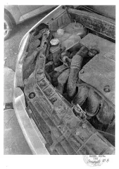 Ford Fusion 2010 года, серого цвета, госномер А335ВО92, VIN: WF0UXXGAJUAB88101. Состояние хорошее. Имеются царапины на заднем бампере слева и многочисленные сколы с царапиной на переднем капоте. Салон и шины в хорошем состоянии. Пробег 176013 км. Автомобиль на ходу.