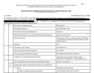 ГАЗ 2752 Соболь, 2008. Грузовой фургон ГАЗ 2752 Соболь (не на ходу), 2008 года выпуска, светло-серого цвета, VIN X9627520080625119, ГРЗ С567КУ40, двигатель № 83097031, ПТС 50 РР 693295. С имуществом, являющимся предметом торгов, можно ознакомиться по адресу: Московская область, городской округ…