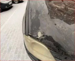 Renault Logan 2010 года, 84 л.с., пробег 212465 км. Модель SR, VIN: X7LLSRB1HAH336806, госномер У531ЕУ48.