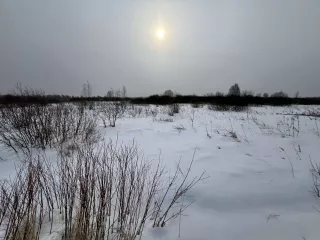 Земельный участок, кадастровый номер 72:17:2316007:54, местоположение: Тюменская область, Тюменский район, СНТ "Горошинка-3", ул. Рябиновая, участок №52. Площадь: 981 ±55 кв. м. Категория земель: земли сельскохозяйственного назначения. Виды разрешенного использования: для ведения садоводства и…