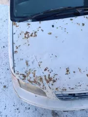 Легковой автомобиль Honda Odyssey (Хонда Одиссей), 1997 года выпуска, VIN: отсутствует, мощность двигателя: 150 л.с. (110/3 кВт), модель двигателя: F23A, двигатель №: 2204011, кузов: RA31006235. Не на ходу, пробита прокладка на двигателе внутреннего сгорания (ДВС) («выкидывает» масло), на…
