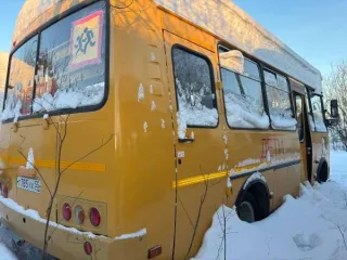 ПАЗ 32053-70, 2017 года изготовления, VIN X1M3205BXH0001803. Автобус для перевозки детей. ПТС 52 ОС 329102 от 15.06.2017 г., модель, № двигателя 523420 Н1001833, кузов № Х1М3205ВХН0001803, цвет желтый, государственный регистрационный номер Т785УХ55. Объем двигателя: 4670 куб. см.