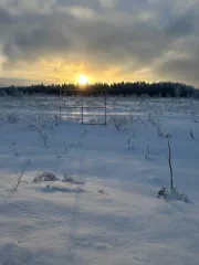 Земельный участок 1200 кв.м в Московской области, Сергиево-Посадский район, в районе деревни Новоселки, северо-восточная часть кадастрового квартала 50:05:0020237.