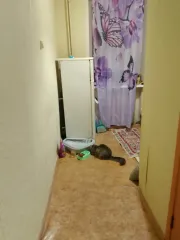 Квартира 32.5 кв.м, Владимирская область, Владимир, улица Лермонтова, дом 26в, квартира 12. Кадастровый номер: 33:22:032084:745.