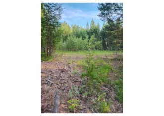 Земельный участок 1450 кв.м, ХМАО-Югра, г. Югорск. Земельный участок в ХМАО-Югра, 1450 кв.м. Еще земельный участок в ХМАО-Югра, 1450 кв.м. Площадь: 1 450 кв.м., адрес (местонахождение): Ханты-Мансийский автономный округ - Югра, г. Югорск, ул. Малиновая, категория земель: земли сельскохозяйственного…
