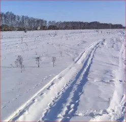 Земельный участок 501 кв.м, Омская область, с. Усть-Заостровка, ул. Березовая, 35, площадь: 501кв.м., адрес (местонахождение): Омская область, р-н Омский, с Усть-Заостровка, ул Березовая, д 35, категория земель: Земли населенных пунктов, разрешенное использование: Для размещения дома индивидуальной…
