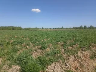 Продажа земельного участка, изъятого по суду, с адресным ориентиром: город Москва, вн.тер.г. муниципальный округ Краснопахорский, квартал 172, земельный участок 9 площадью 15 000 кв.м,  кадастровый номер: 50:27:0020331:96 Продажа земельного участка, изъятого по суду, с адресным ориентиром: город…