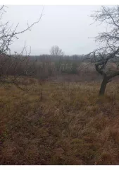 Земельный участок площадью 600 кв.м, расположенный по адресу: Курская область, Курский район, Полевской сельсовет, ул. Набережная, д. 143. Кадастровый номер: 46:11:150206:648. В Едином государственном реестре недвижимости отсутствуют сведения о местоположении границ земельного участка. Регистрация…