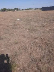 Земельный участок площадью 600 кв.м, 1/3 доля в общей долевой собственности. Астраханская область, Приволжский район, СДТ Наука АГПИ, д. 59. Кадастровый номер: 30:09:090302:244. Имеются запреты регистрационных действий, предпринимаются действия по снятию обременений. В ЕГРН отсутствуют сведения о…