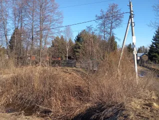 Земельный участок 947 кв.м, СНТ "Нива", Московская область. Адрес: обл. Московская, р-н Талдомский, севернее д. Бельское, снт "Нива", уч. 159, категория земель: земли сельскохозяйственного назначения, разрешенное использование: для садоводства, кадастровый номер: 50:01:0060167:258.