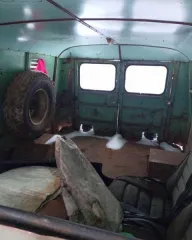 УАЗ-374195, 2009 автотранспортное средство грузовой автомобиль г/н Т7742ТТ56, год выпуска: 2009, VIN: XТТ37419590473979, цвет: защитный, тип ДВС: бензин, мощность ДВС: 112 л.с.