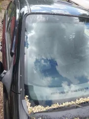 Chevrolet KLAN автомобиль шевроле KLAN, год выпуска не установлен, г/н К396НН82, VIN: XUUNA196J80015464. Имущество продается в том виде, в каком оно есть, в случае продажи возврату/обмену не подлежит. За скрытые дефекты имущества продавец ответственности не несет. Вид транспорта: легковой…