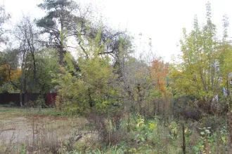 Земельный участок 599 кв. м Москва с адресным ориентиром: город Москва, внутригородская территория муниципальный округ Косино-Ухтомский, улица Златоустовская, земельный участок 2/2 общей площадью 599 кв. м с кадастровым номером 77:03:0010007:5321 Вид разрешённого использования земельного участка…