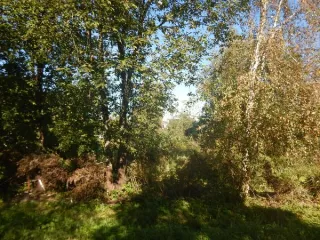 Земельный участок площадью 1135 кв.м, расположенный по адресу: Российская Федерация, Санкт-Петербург, внутригородское муниципальное образование города федерального значения Санкт-Петербурга муниципальный округ Константиновское, территория Сергиево, улица Карла Маркса, земельный участок 2…