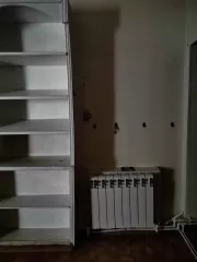Нежилое помещение, общая площадь 67,6 кв.м., кадастровый номер 13:14:0101087:866; по адресу: Республика Мордовия, р-н. Краснослободский, г. Краснослободск, мкр. 3-й, д. 13, корп. 1