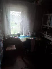 1/3 доля в праве на жилое здание площадью 34,6 кв.м, кадастровый номер 60:23:0010320:41. 1/3 доля в праве на земельный участок площадью 1235,6 кв.м, категория земель - земли населенных пунктов, разрешенное использование - для ведения личного подсобного хозяйства, кадастровый номер 60:23:0010321:2…