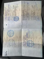 Hyundai Solaris 2011 года выпуска, VIN Z94CT41CABR038194.