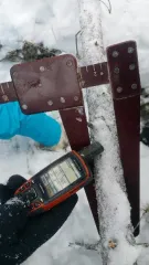 Стволы деревьев породы:  -«Береза» - 7 шт. – 1,710 м3; -«Лиственница» - 5шт. – 0,706 м3; -«Ель» - 16 шт. – 1,914 м3; -«Кедр» - 6 шт. – 0,624 м3; -«Сосна» - 6 шт. – 4,590  м3; -«Осина» - 1 шт. – 0,24 м3, общий объем 9,784 м3(860 ВД/МВД/СО) -«Береза» - 7 шт. – 1,710 м3; -«Лиственница» - 5шт. – 0,706…