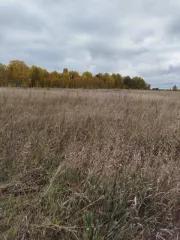 Земельный участок, 800 кв.м., Тюменская область, 1/5 доли. Площадь 800 +/- 10 кв.м., адрес (местонахождение): Россия, Тюменская область, Тюменский, Чикчинское МО, д. Криводанова, кадастровый (условный) номер: 72:17:2409002:1319. Находится в долевой собственности, размер доли: 1/5.