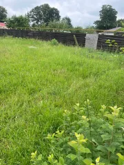 Земельный участок площадью 600 кв.м. Назначение: земли населенных пунктов. Адрес: Россия, Псковская область, Псковский район, деревня Дуброво. Кадастровый номер: 60:18:0110501:490. Ознакомление с имуществом производится с понедельника по пятницу с 09:00 до 18:00 по предварительной договоренности по…