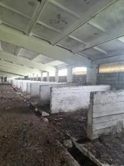 Объект недвижимости по адресу: Приморский край, Партизанский район, с. Новицкое, ул. Матросова, д. 58. В составе: здание кормоцех, кадастровый номер 25:13:020211:1652, назначение нежилое, площадь 271,2 кв.м, этажность 1.