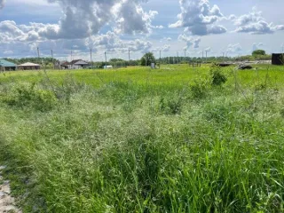 Жилое помещение, 2 комн. квартира, площадь 61,1 кв.м., адрес: Новосибирская область, г Новосибирск, р-н Ленинский, ул Пархоменко, д 8, кв 58, кад. №54:35:064160:1080.