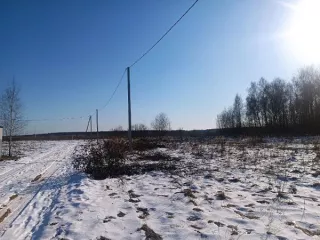 земельный участок, предназначенный для передачи гражданам для ведения личного подсобного хозяйства (приусадебный земельный участок) в аренду сроком на 20 лет из земель населенных пунктов, площадью 1431 кв. м., расположенный по адресу: Владимирская область, Камешковский район, д. Нестерково…