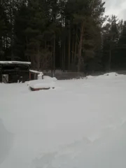 Земельный участок, площадь 636 кв.м., кадастровый (условный) номер: 66:48:0502001:71, совместная собственность, расположен по адресу Россия, обл Свердловская, Качканарский городской округ, поселок Именовский, Территория Сад 5, дом уч. 34-а.