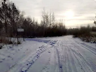 Земельный участок, 883 кв.м, Новосибирская область, с кадастровым номером 54:18:060412:218, расположенный по адресу: Новосибирская область, Мошковский район, СНТ "Zodchiy", ул. Ягодная, участок 41