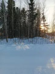 1/4 доли земельного участка 86:01:0401003:1426, площадь: 912 +/- 11 кв. м. Адрес: Ханты-Мансийский автономный округ - Югра, Кондинский район, пгт. Междуреченский, ул. Северная, д. 25/5. Местоположение установлено относительно ориентира, расположенного за пределами участка.