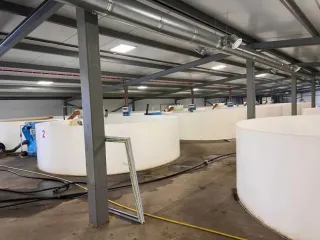 Строительство фермы по выращиванию форели по адресу д. Мещеряково Промпарк «Буинск» Буинского муниципального района, кадастровый номер 16:14:140102:762, общая площадь 1 432,0 кв.м. (в залоге АО «Татагролизинг»); Административное здание, кадастровый номер 16:14:140102:763, общая площадь 57,4 кв.м…