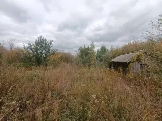 1/4 доли дома и участка, здание 34,4 кв.м., участок 5000 кв.м., Мордовия, здание, кадастровый номер 13:01:0430002:318, площадь 34,4 кв.м., общая долевая собственность, доля в праве 1/4, адрес местонахождения: Республика Мордовия, район Ардатовский, село Жабино, ул. Верхняя, д. 14, и земельный…