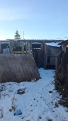 Доля дома и земельного участка, 40.8 кв.м, Курганская обл 1/2 доля дома и 1/2 доля земельного участка в Курганской обл. еще 1/2 доля дома и 1/2 доля земельного участка в Курганской обл. еще 1/2 доли здания, площадь 40.8 кв.м., назначение: жилое, количество этажей: 1, адрес (местонахождение)…