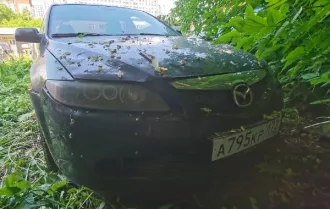 Mazda 6 2006 легковой автомобиль Mazda 6, 2006 г.в., г/н: A795KP172, VIN: JMZGG128261645994, цвет темно-вишневый (залог)