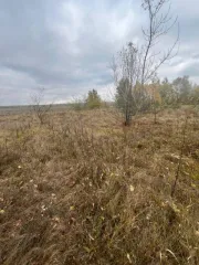 Земельный участок 600 кв.м, Липецкая область. Земельный участок в Липецкой обл., 600 кв.м. Земельный участок в Липецкой обл., 600 кв.м. Земельный участок, площадь: 600кв.м., адрес (местонахождение): Российская Федерация, Липецкая область, Добровский муниципальный район, сельское поселение…