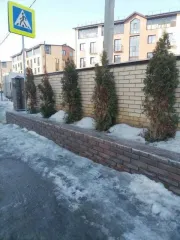 Квартира 48,7 м², 2 комн., Новосибирская область. Квартира в Новосибирской обл., 48,7 кв.м, 2 комн. Квартира, площадью: 48,7 кв.м, с кадастровым номером: 54:18:020401:13204, расположенная по адресу: Российская Федерация, Новосибирская область, муниципальный район Мошковский, сельское поселение…