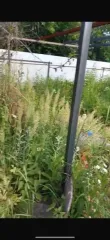 Жилое строение 15 кв.м. и участок 400 кв.м., Челябинская обл. Здание 15 кв.м. и земельный участок 400 кв.м. в Челябинске еще Жилое строение без права регистрации проживания, расположенное на садовом земельном, площадь 15 кв.м., назначение: Нежилое, количество этажей: 1, адрес (местонахождение)…