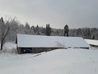 Свинарник 187.6 кв.м Новгородская область Свинарник, расположенный по адресу: Российская Федерация, Новгородская область, муниципальный округ Маловишерский, деревня Лука, улица Кленовая, здание 29, общей площадью 187,6 кв.м, с кадастровым номером 53:08:0114301:130, вид объекта: здание, назначение…