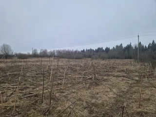 Земельный участок с кадастровым номером 69:10:0000037:1691, площадью 1 077 кв.м., местоположение: Тверская область, Калининский район, Верхневолжское с/п, с.Петровское.