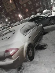 Renault Megane 2007 года выпуска. VIN: VF1LM1B0H38614429. Государственный номер: О668НК45.