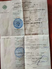 Ford Focus 2004 автомобиль. Автомобиль: Ford Focus, год выпуска: 2004, VIN: X9FFXXEEDF4S44448, цвет кузова: светло серо-голубой.