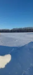 Земельный участок, 1200 кв.м, долевая собственность, с. Петровское, Тамбовская область 1/4 доля земельного участка в Тамбовской обл. еще 1/4 доля земельного участка в Тамбовской обл. еще 1/4 доли Земельного участка, площадь 1200 +/- 12 кв.м., адрес (местонахождение): Россия, Тамбовская область…